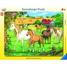 RAVENSBURGER - Koně 30-48D