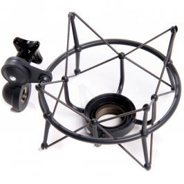 Neumann EA 1 MT