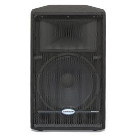 Samson RS15HD PA Speaker Cabinet