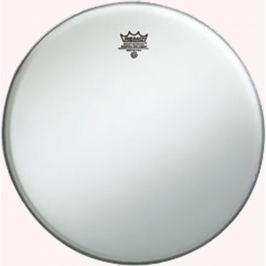 Remo Ambassador Hazy 12''