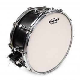 Evans 14'' ST Coated
