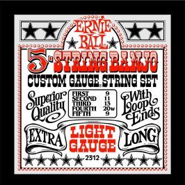 Ernie Ball 2312 5-string Banjo Stainless Steel Light
