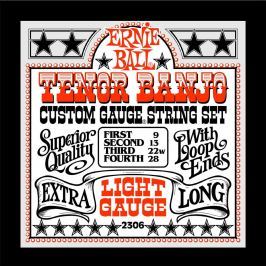 Ernie Ball 2306 Tenor Banjo Stainless Steel Light