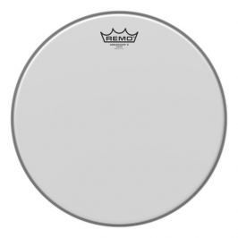 Remo Ambassador X 12''