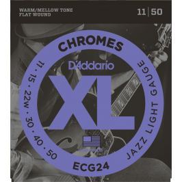 D'Addario ECG 24