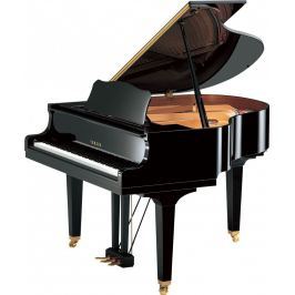 Yamaha GB1K Polished EB