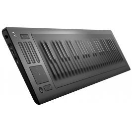 Roli Seaboard Rise 49
