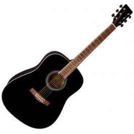 VGS PS501316 Acoustic Guitar vgs D-10 Black