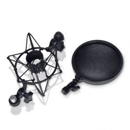 LD Systems DSM 400