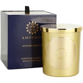 Amouage Autumn Leaves vonná svíčka 195 g