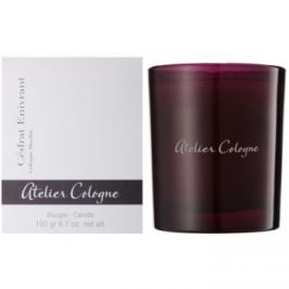 Atelier Cologne Cedrat Enivrant vonná svíčka 190 g