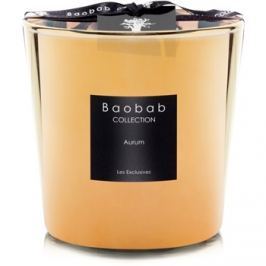 Baobab Les Exclusives Aurum vonná svíčka 6,5 cm