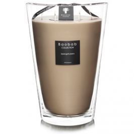 Baobab Serengeti Plains vonná svíčka 35 cm