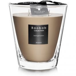Baobab Serengeti Plains vonná svíčka 16 cm