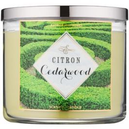 Bath & Body Works Citron Cedarwood vonná svíčka 411 g