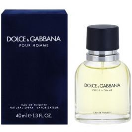 Dolce & Gabbana Pour Homme toaletní voda pro muže 40 ml