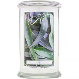 Kringle Candle Eucalyptus Mint vonná svíčka 624 g