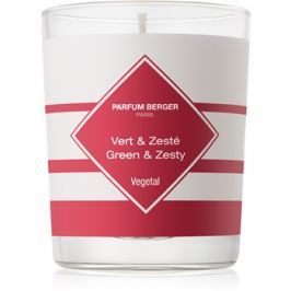 Maison Berger Paris Anti Odour Kitchen vonná svíčka 180 g I. (Green and Zesty)
