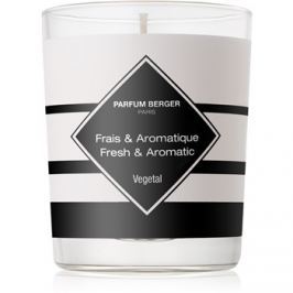 Maison Berger Paris Anti Odour Tobacco vonná svíčka 180 g II. (Fresh and Aromatic)