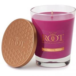 Root Candles Blackberry Mango vonná svíčka 297,7 g