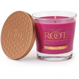 Root Candles Blackberry Mango vonná svíčka 179 g