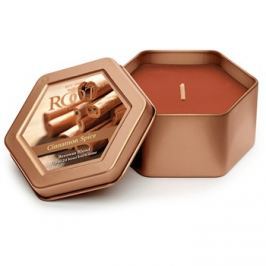 Root Candles Cinnamon Spice vonná svíčka 113 g v plechovce