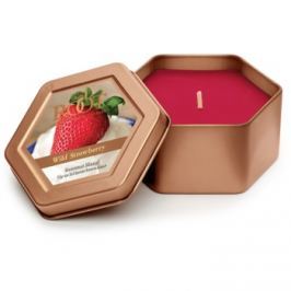 Root Candles Wild Strawberry vonná svíčka 113 g v plechovce