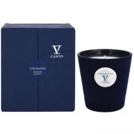 V Canto Cor Gentile vonná svíčka 250 g