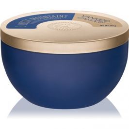 Yankee Candle Misty Mountains vonná svíčka 255 g