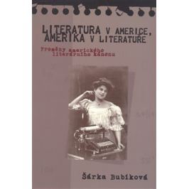 Literatura v Americe, Amerika v literatuře - Šárka Bubíková