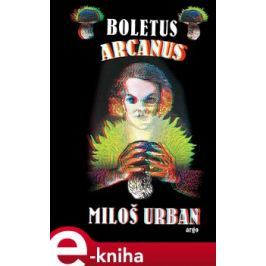 Boletus arcanus - Miloš Urban