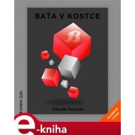 Baťa v kostce - Zdeněk Pokluda